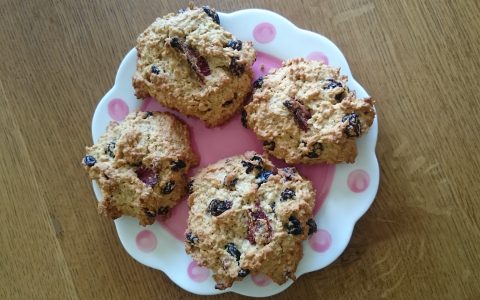 Healthy Oaty Biscuit Recipe with Nothing But Snack